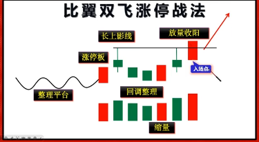 股票知识比翼双飞涨停战法交易策略